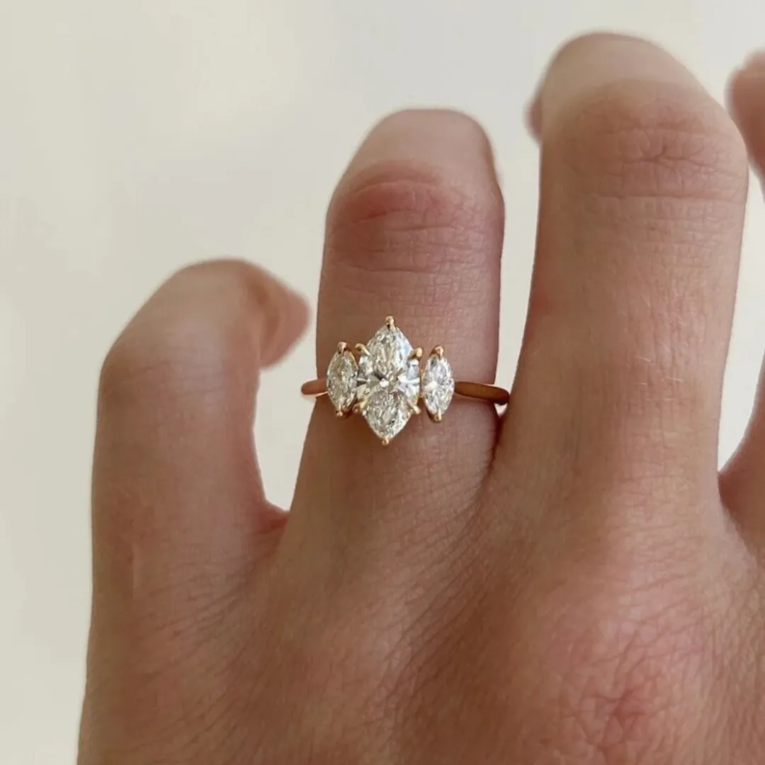 /public/photos/live/marquise (1).webp